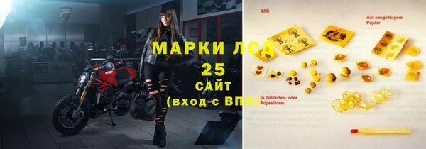 гидра Бородино