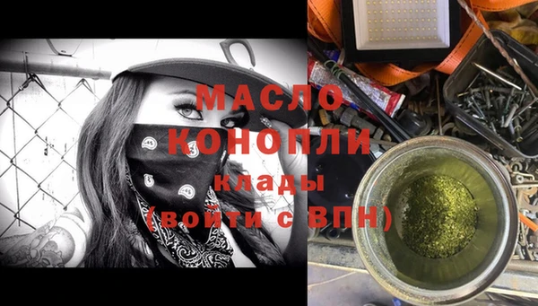 гидра Бородино