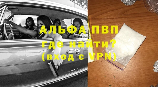 гидра Бородино