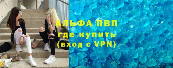 гидра Бородино