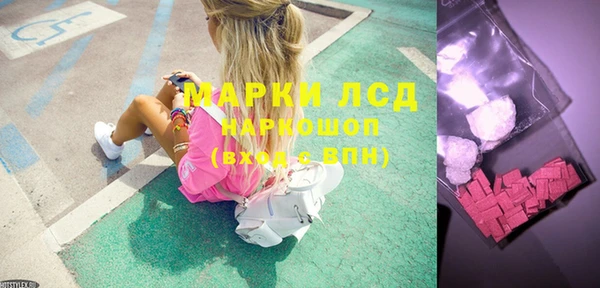 гидра Бородино