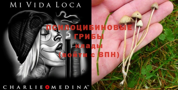 синтетический гашиш Бронницы
