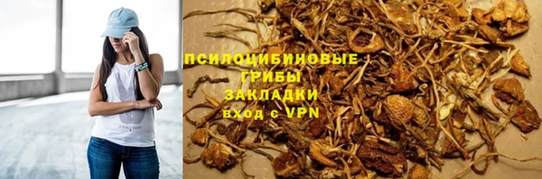 apvp Бугульма