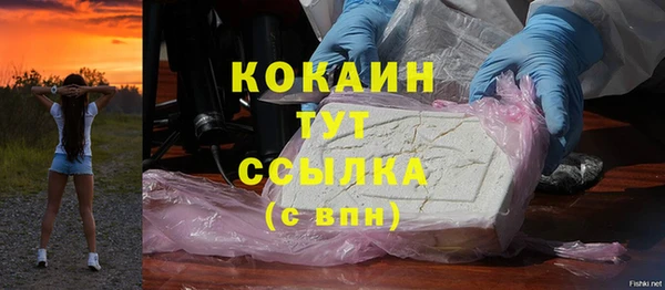 гидра Бородино