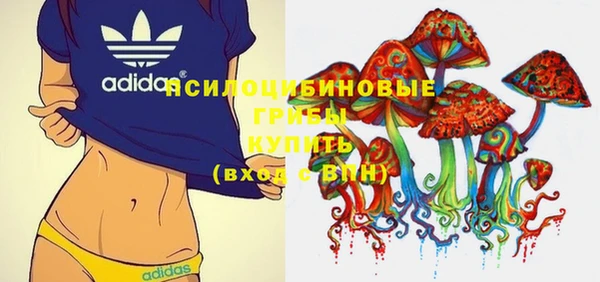 мескалин Богданович